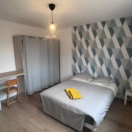 Chambre Avec Sdb + Wc Privatifs Dans Maison 114 M2 Avec Cour Le Mans