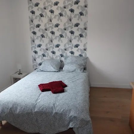 Chambre Avec Sdb + Wc Privatifs Dans Maison 114 M2 Avec Cour * Le Mans